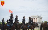 Cận cảnh dàn kỵ binh của lực lượng cảnh sát cơ động